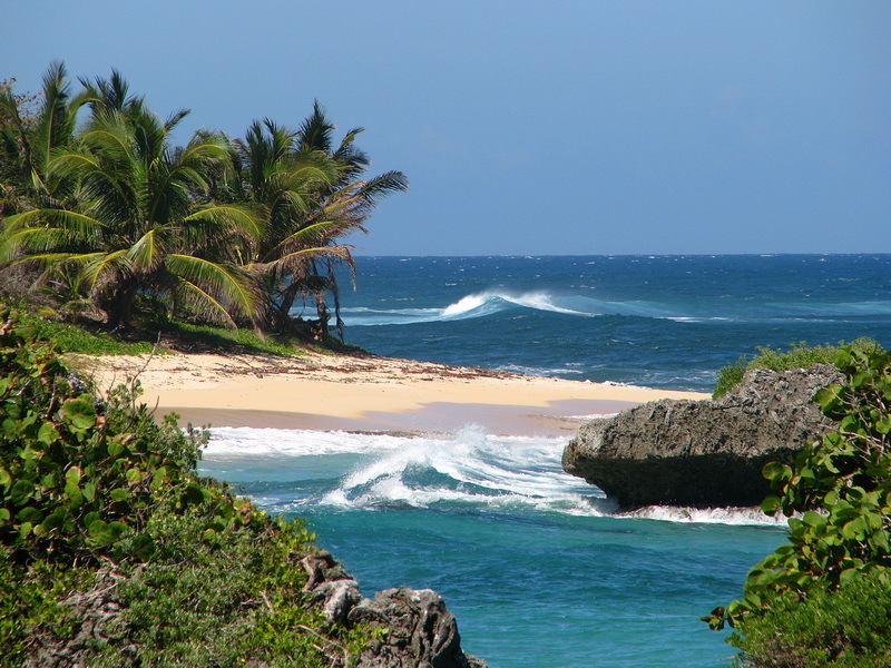 Поездка в Доминикану: что нужно знать