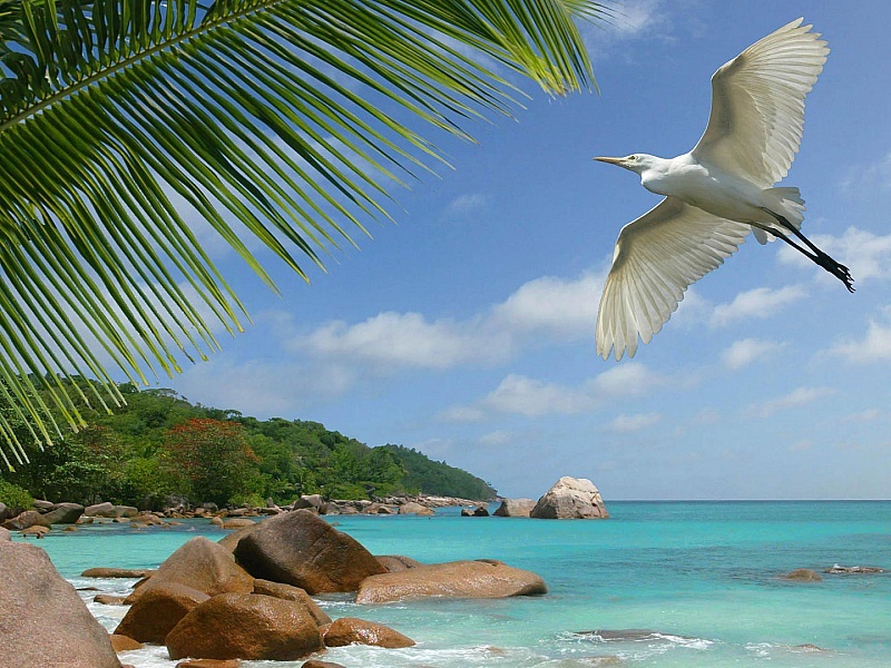 Туры на Сейшелы: какой остров выбрать